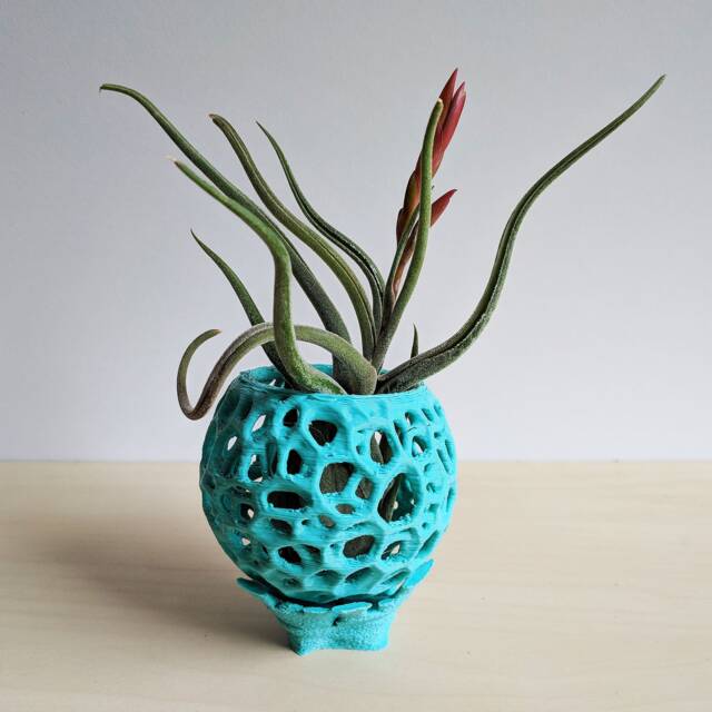 Small Diy Kokedama Set With Holder - Cute Air Plant Holder, Mini Orchid Pot, Planter, Tiny Succulent - image 1