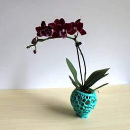 Small Diy Kokedama Set With Holder - Cute Air Plant Holder, Mini Orchid Pot, Planter, Tiny Succulent - thumbnail 3