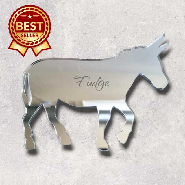 Donkey Acrylic Mirror Wall Art Personalized Engraved Decor - image 1