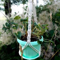 Small Hanging Planter Bohemian Home Flower Pot Holder Mini Macrame Plant Hanger Cotton Rope Planter Wall Indoor Or Outdoor Decor - thumbnail 2