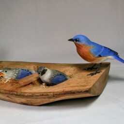 Eastern Bluebird Family Wood Carving Bird - thumbnail 3