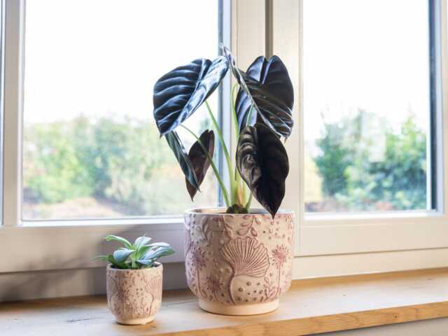 Ceramic Pot, Handmade, Pink, Indoor Plant Small, Large Pots - image 1
