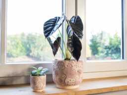 Ceramic Pot, Handmade, Pink, Indoor Plant Small, Large Pots - thumbnail 1