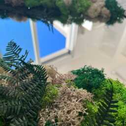 Timeless Moss & Fern Wall Mirror - Handcrafted, Customizable Greenery Decor, Made To Order, Nature Inspired Gift, Real - thumbnail 3