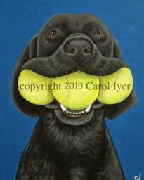 Black Lab Art Print Dog With Three Tennis Balls By Carol Iyer - thumbnail 2