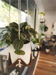 Indoor Hanging Plant Hanger Leather Hammock Jungle Air Macrame Minimal 3rd Anniversary Decor Gift For Her