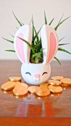 Bunny With Big Ears Plant Pot, Easter Rabbit, Chinese New Year Of The Cute Kawaii Animal Lover Gift