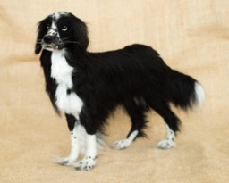 Made To Order Needle Felted Dog Custom Needle Felted Animal Sculpture