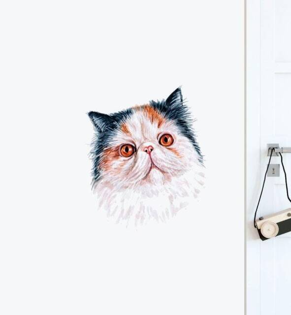 Persian Cat Wall Sticker Decal - Dogs & Pets Stickers, Art, Decals, Kids Animals Decals