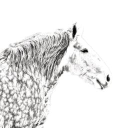 Percheron - Wooden Stand For Candles/Pens With The Image Of A Horse New Collection - thumbnail 2