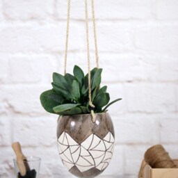 Hand-Carved Hanging Ceramic Planter Succulent & Air Plant Pot - thumbnail 4