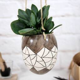Hand-Carved Hanging Ceramic Planter Succulent & Air Plant Pot - thumbnail 2