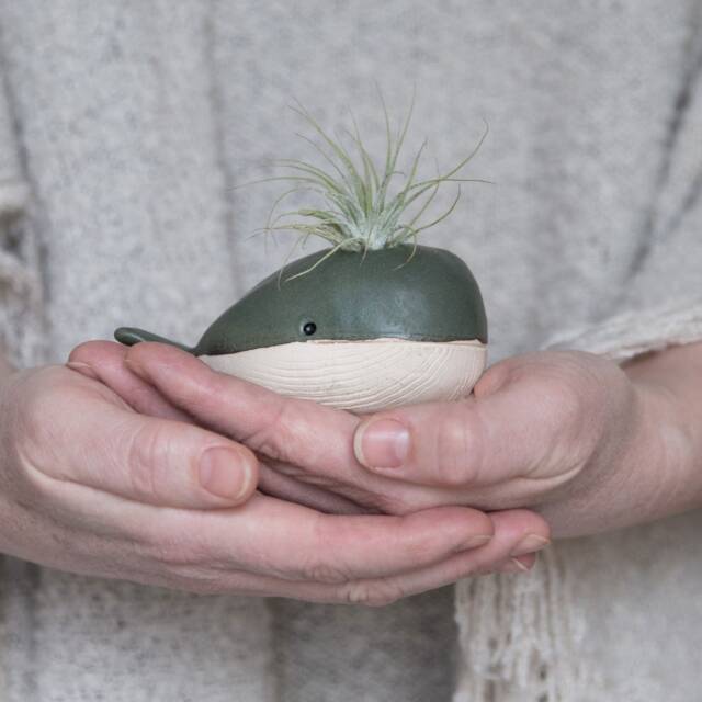 Handmade Ceramic Whale Air Plant Holder - Ocean & Sea Themed Decor - image 1