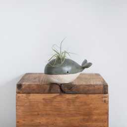 Handmade Ceramic Whale Air Plant Holder - Ocean & Sea Themed Decor - thumbnail 4