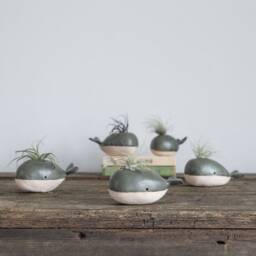 Handmade Ceramic Whale Air Plant Holder - Ocean & Sea Themed Decor - thumbnail 2