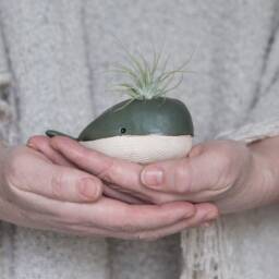 Handmade Ceramic Whale Air Plant Holder - Ocean & Sea Themed Decor - thumbnail 1