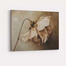 Elegant Cream Wilted Flower Botanical Still Life Canvas Wall Art Print Decor Picture Ready To Hang - thumbnail 4