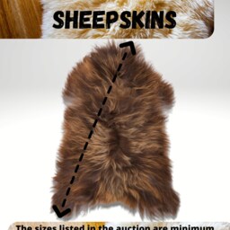 Genuine Sheepskin Rug 100% Sheep Skin Leather Decorative Rug Comfy, Area Rugs Carpet Outdoor Throw - thumbnail 3
