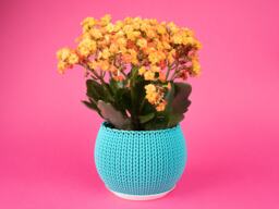 Knit Planter 4.5 Inch Small Plant Container - thumbnail 1