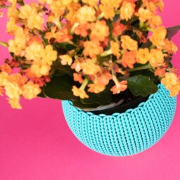 Knit Planter 4.5 Inch Small Plant Container - thumbnail 3