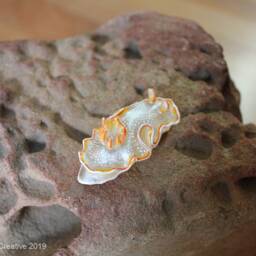 Ahu The Nudibranch - Ardeadoris Poliahu - thumbnail 2