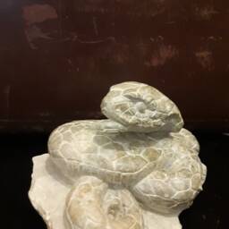 Snake Stone Sculpture - thumbnail 3