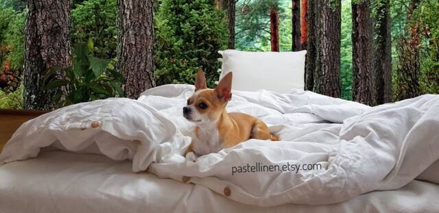 White Linen Bedding Set Natural Bedding Organic Rustic Linen Sheets Full Size King Duvet Cover - image 1