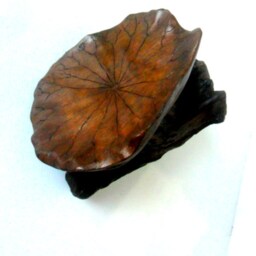 "Natural Wooden Bowl Rustic Driftwood Lotus Leaf Art Handmade Teak Wood Home Decor/Zen Gift Rustikalen Sch??sse 9""x7""x5.5" - thumbnail 4