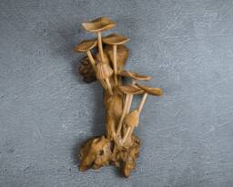 Handmade Wood Mushroom Wall Art, Hanging Decor, 9 Inch