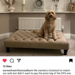 Dogs Handmade Chesterfield Footstool Coffee Table - thumbnail 2