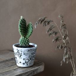 Handmade Oyster Shell Stoneware Planter Small Glazed Cactus Pot - thumbnail 1