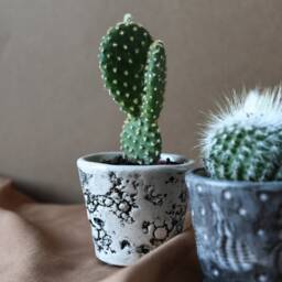 Handmade Oyster Shell Stoneware Planter Small Glazed Cactus Pot - thumbnail 3