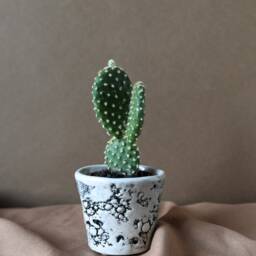 Handmade Oyster Shell Stoneware Planter Small Glazed Cactus Pot - thumbnail 2