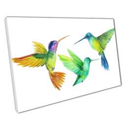 Vibrant Rainbow Hummingbirds Watercolor Canvas Colorful Bird Art Print For Home & Office Walls - thumbnail 1