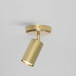 Evanston Directional Brass Ceiling Spot Light 8 - thumbnail 3