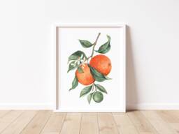 Orange Wall Art, Fruit Art Print, Watercolor Print - thumbnail 1