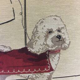 Alex Clark Bichon Frise Dog Fashion Tapestry Cushion Sham - thumbnail 2