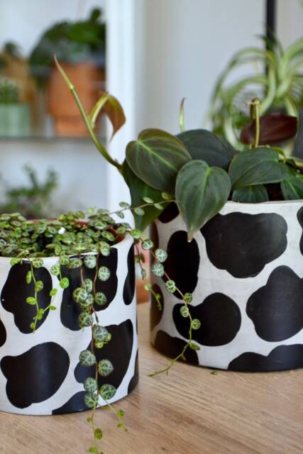 Handmade Cow Pattern Concrete Planter Modern Minimalist Decor - image 1