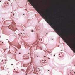 Pig Blanket Baby Blanket, Farm Animals Mini - thumbnail 3