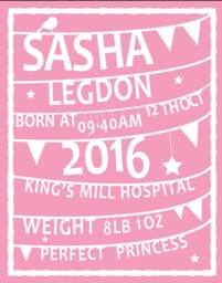 New Baby Gift, Personalised Gift For Newborn, Nursery Print, Newborn Boy Girl, Newborn Present, Pink Nursery Theme - thumbnail 1