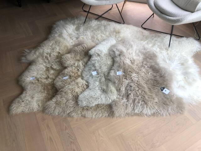 Neutral Tone Sheepskin, Greige, Beige Sheepskin Rug, Cream Genuine Fluffy Tug, Neutral Interior - image 1