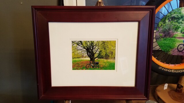 Biking Break Under A Tree Framed Print - image 1