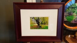 Biking Break Under A Tree Framed Print - thumbnail 1