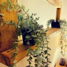 Handmade Rustic Wooden Mirror With Shelf - English Oak Wax Finish Wall - thumbnail 4