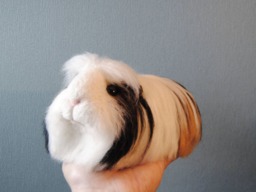 Needle Felted Guinea Pig, Handmade Animal, Custom Made Pet Sculpture - Will Be Made From Your Photos - thumbnail 1