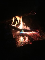 Handmade Firewood 16 Oz Soy Candle in Metal Tin - thumbnail 1
