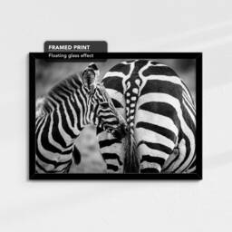 Zebras in The Wild Animal Abstract Modern Black & White Wall Art Framed Canvas Poster Print, Home Kitchen Office Decor - thumbnail 2