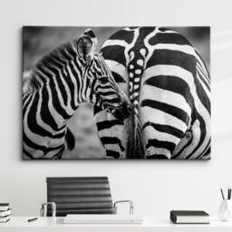 Zebras in The Wild Animal Abstract Modern Black & White Wall Art Framed Canvas Poster Print, Home Kitchen Office Decor