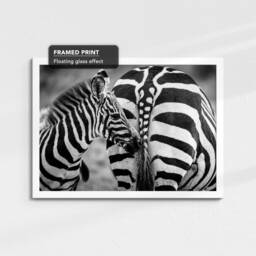 Zebras in The Wild Animal Abstract Modern Black & White Wall Art Framed Canvas Poster Print, Home Kitchen Office Decor - thumbnail 3