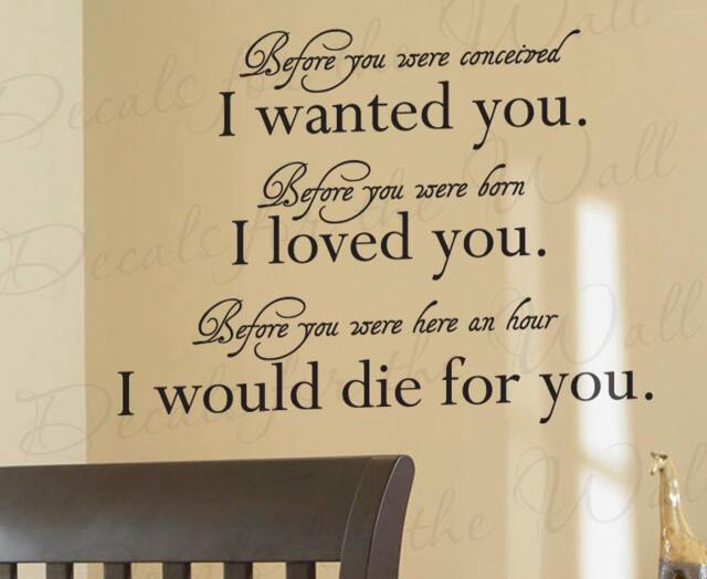 Before You Were Conceived I Wanted Born Loved Girl Or Boy Room Kid Baby Nursery Quote Sticker Vinyl Wall Decal Lettering Art Decor B07 - image 1
